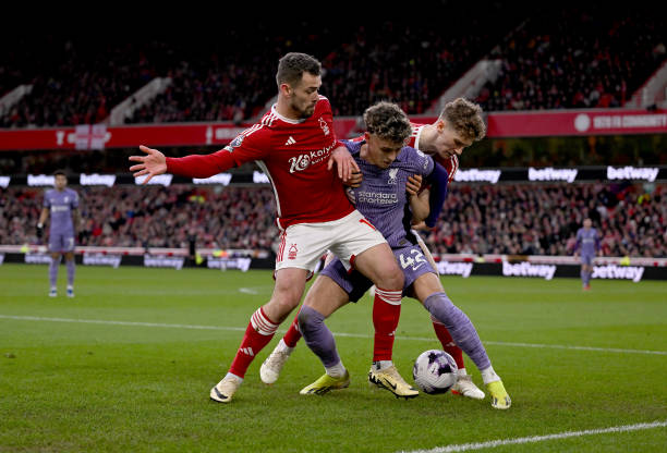 媒体和球迷 媒体和球迷